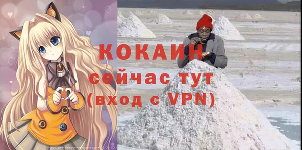 твердый Коряжма