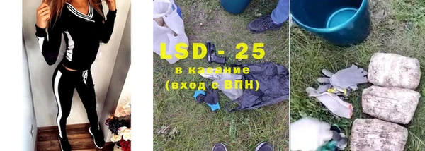 стафф Долгопрудный