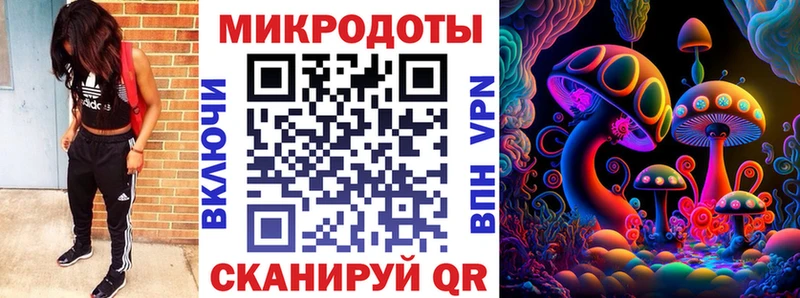 Купить закладки  Сатка  Галлюциногенные грибы Psilocybe 